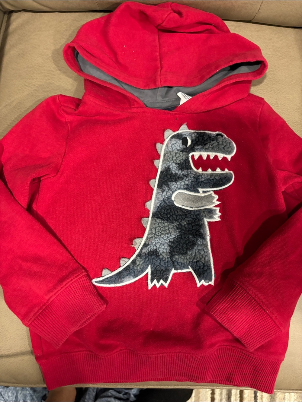 The Children's Place Red Hoodie with Gray Dino Applique